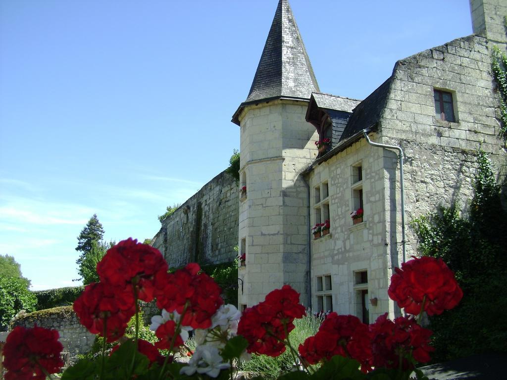 Le Petit Hureau Saumur Buitenkant foto