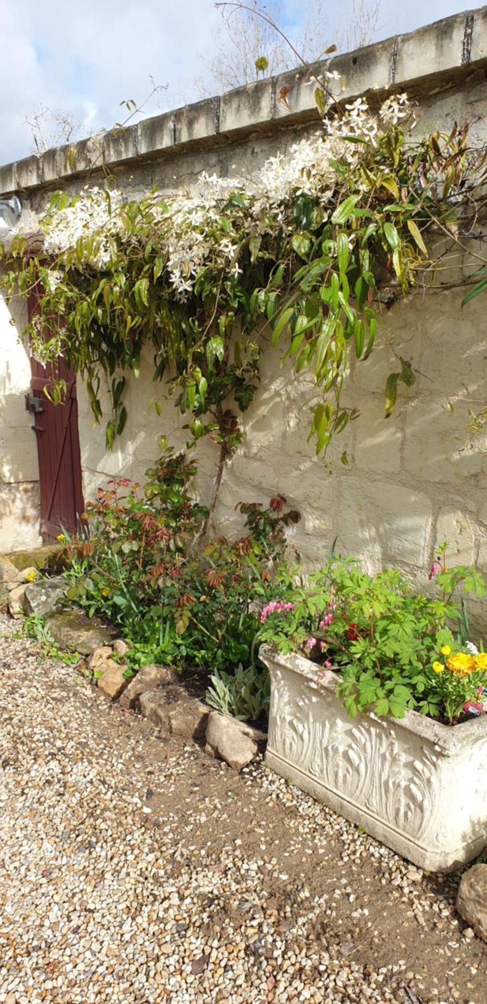 Le Petit Hureau Saumur Buitenkant foto