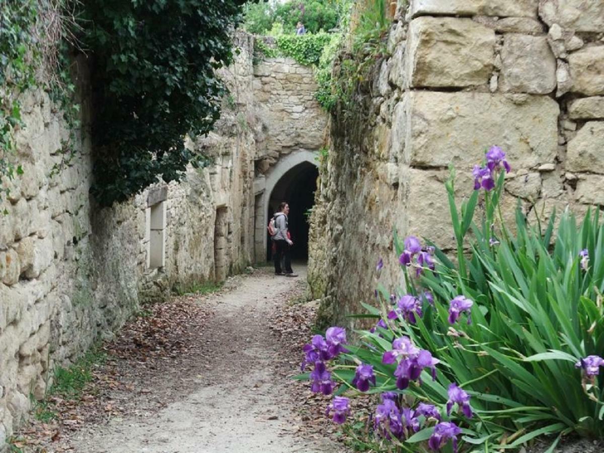 Le Petit Hureau Saumur Buitenkant foto